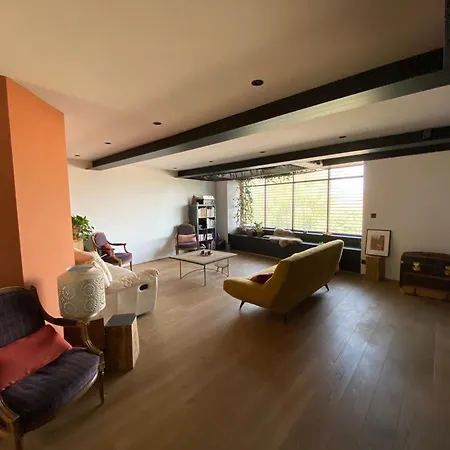 别墅 Grande Maison D'architecte Avec Toit Terrasse, Piscine Sans Vis A Vis Et Sauna *